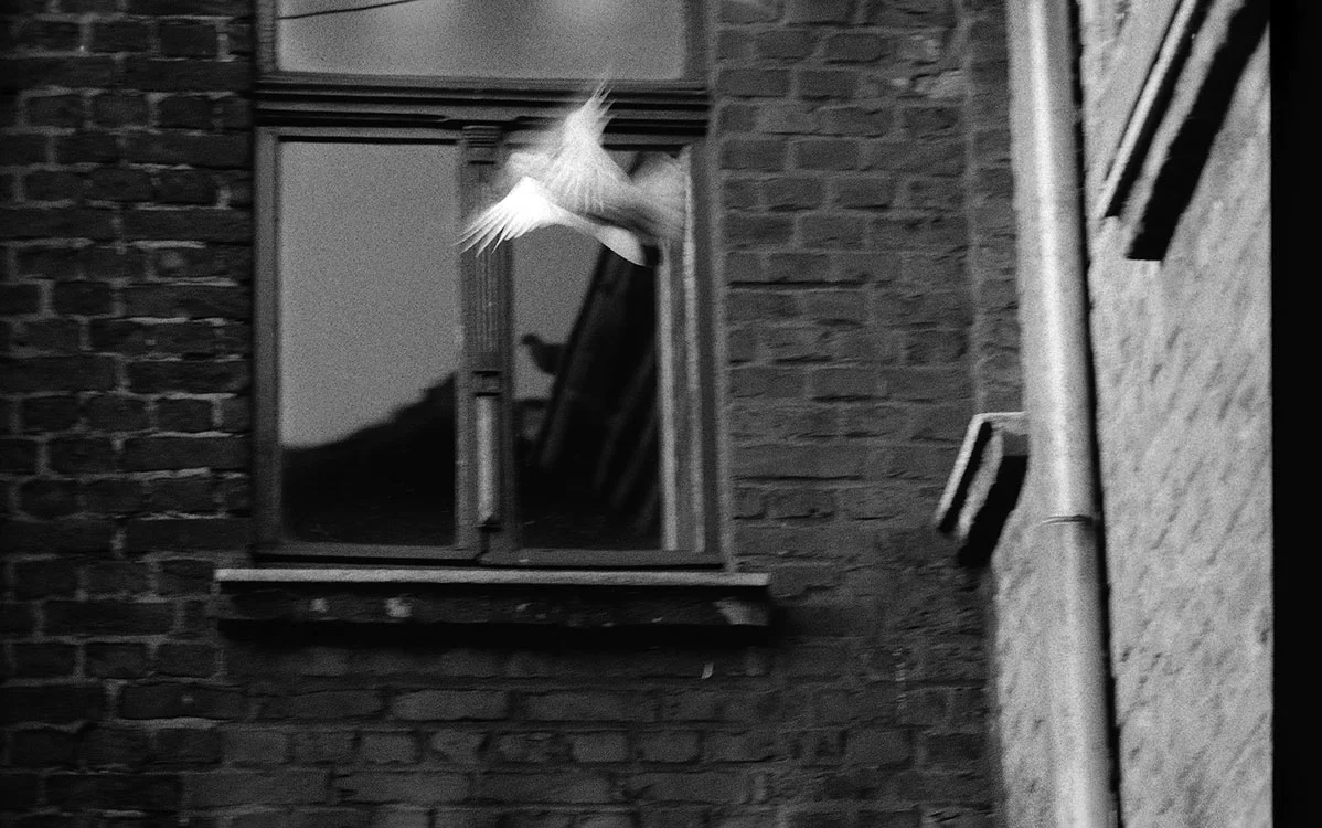 Düppelstrasse, Hinterhof, 1976