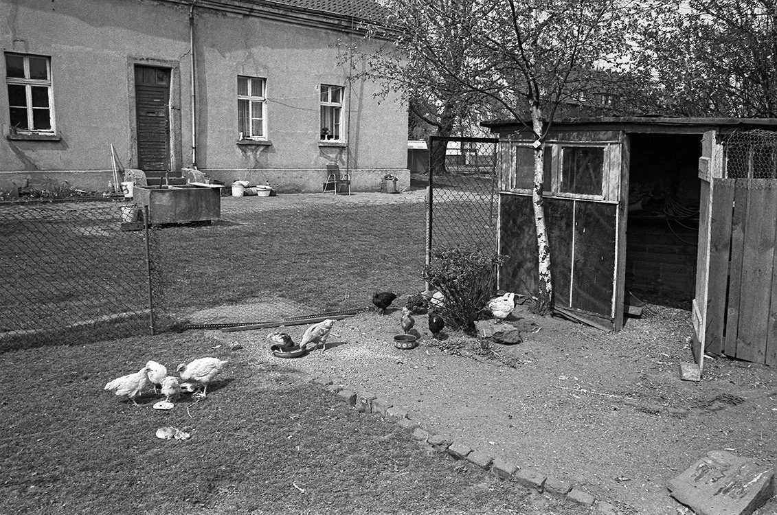 Zechenhaus, Bebelstrasse, 1984