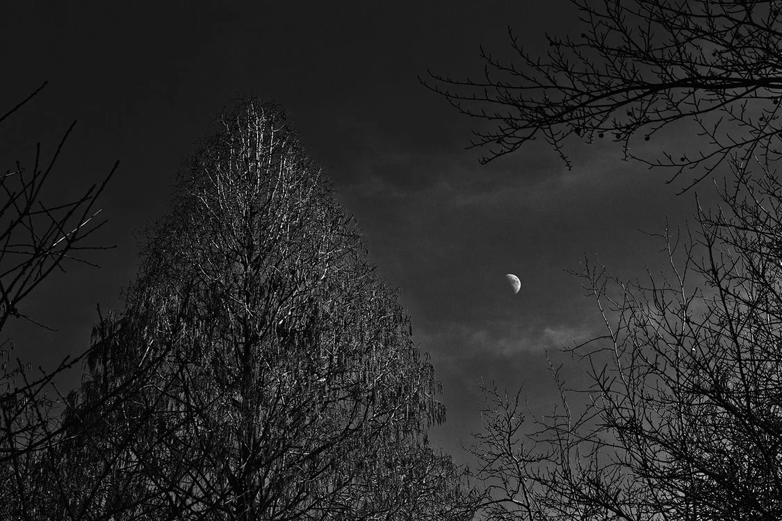 Ruhrpark, 2013