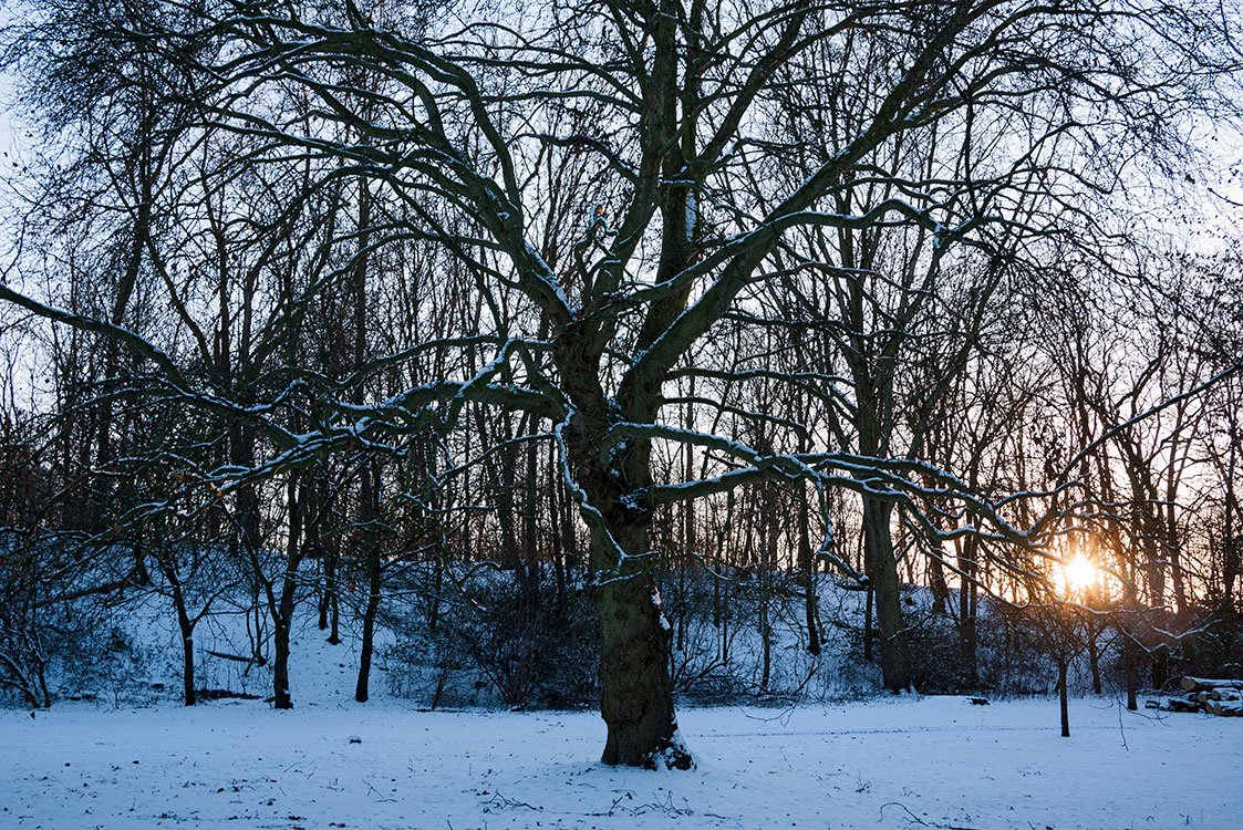 Ruhrpark, Oberhausen 2010