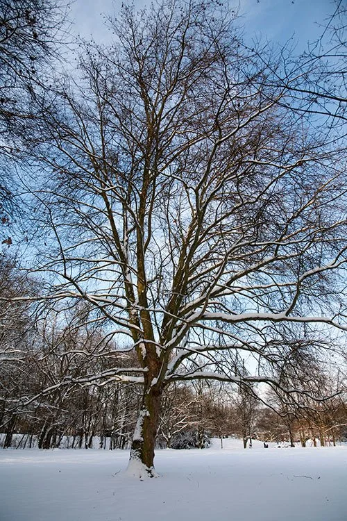 Ruhrpark, Oberhausen 2010