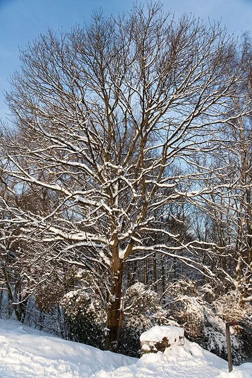 Ruhrpark, Oberhausen 2010