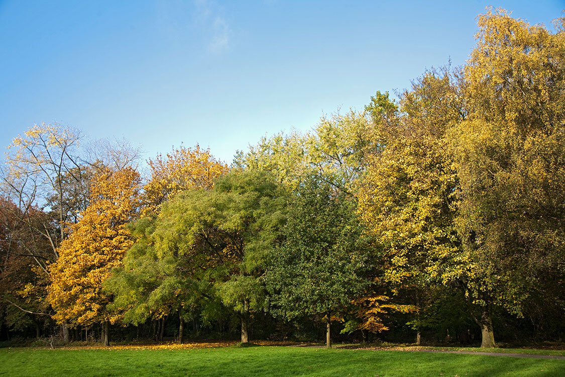 Ruhrpark, Oberhausen 2011