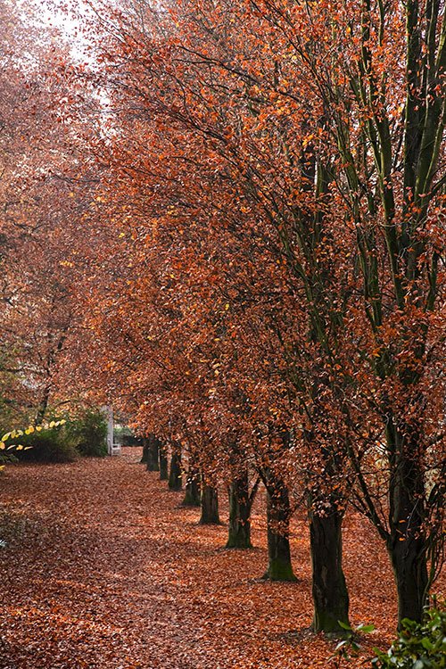 Raffelbergpark, Mülheim-Ruhr 2011