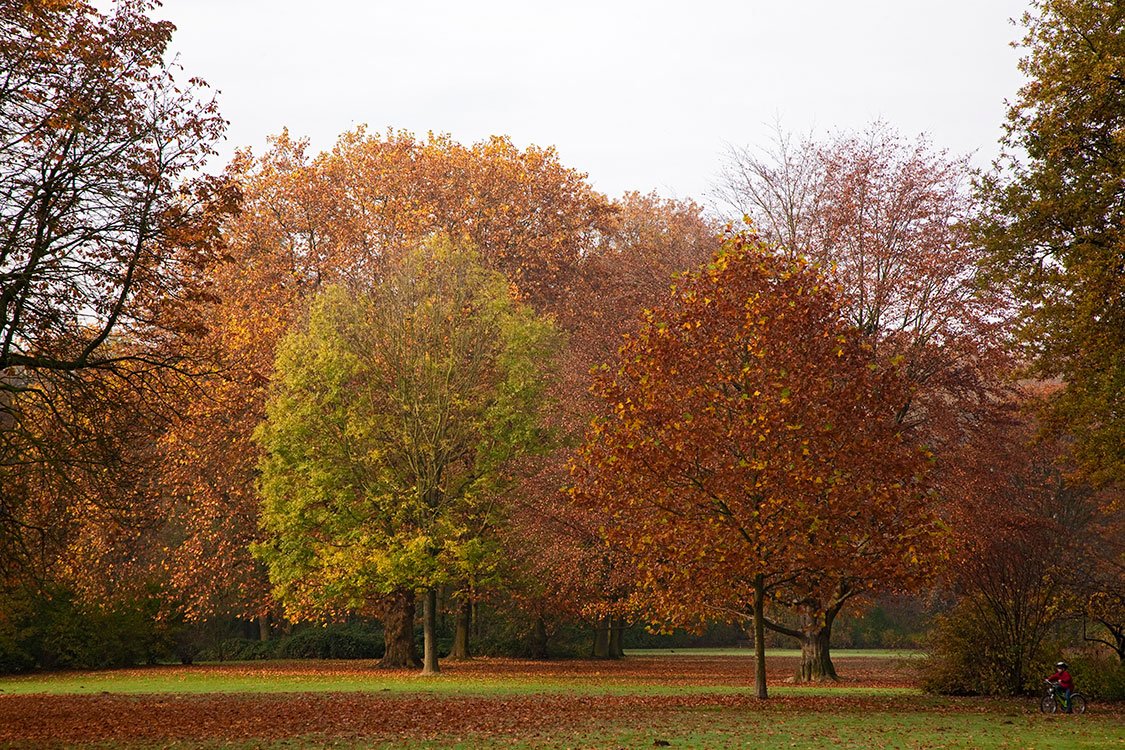 Raffelbergpark, Mülheim-Ruhr 2011