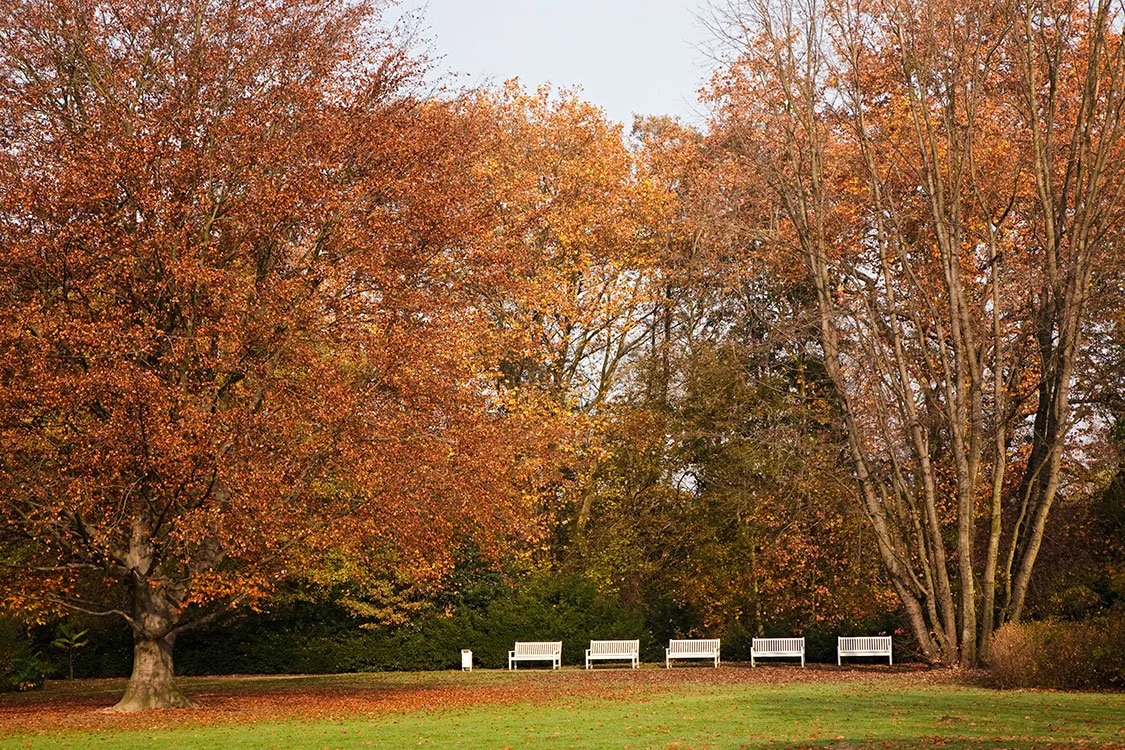 Raffelbergpark, Mülheim-Ruhr 2011