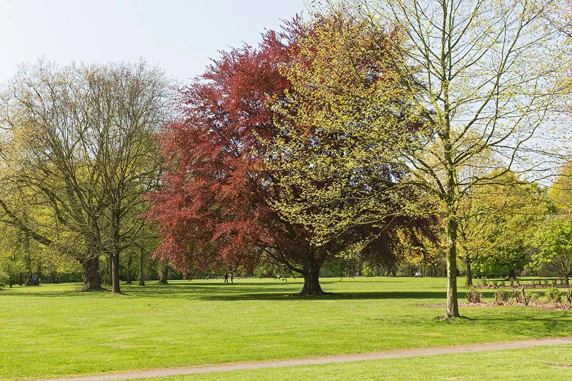 Raffelbergpark, Mülheim-Ruhr 2016
