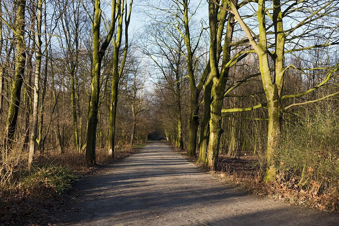 Ruhrpark, Oberhausen 2013