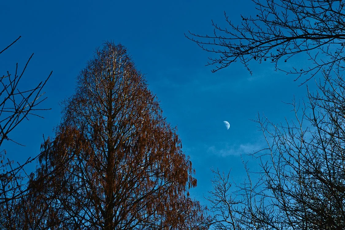 Ruhrpark, Oberhausen 2013