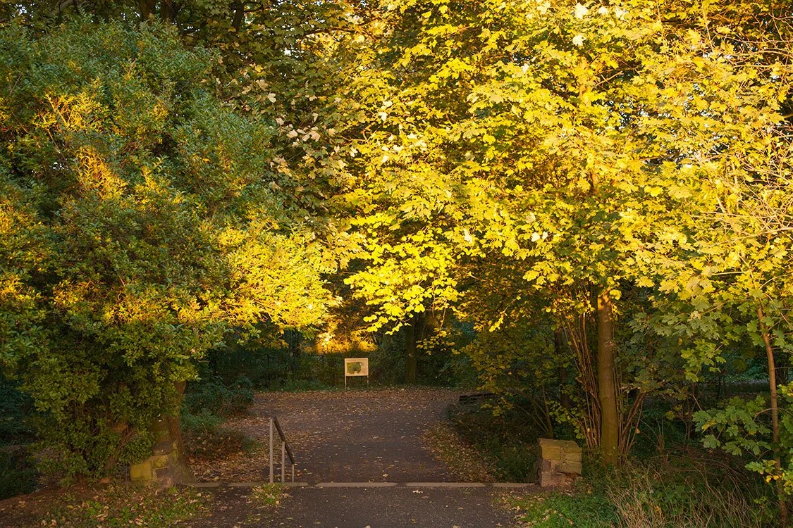 Ruhrpark, Biotop, Oberhausen 2010