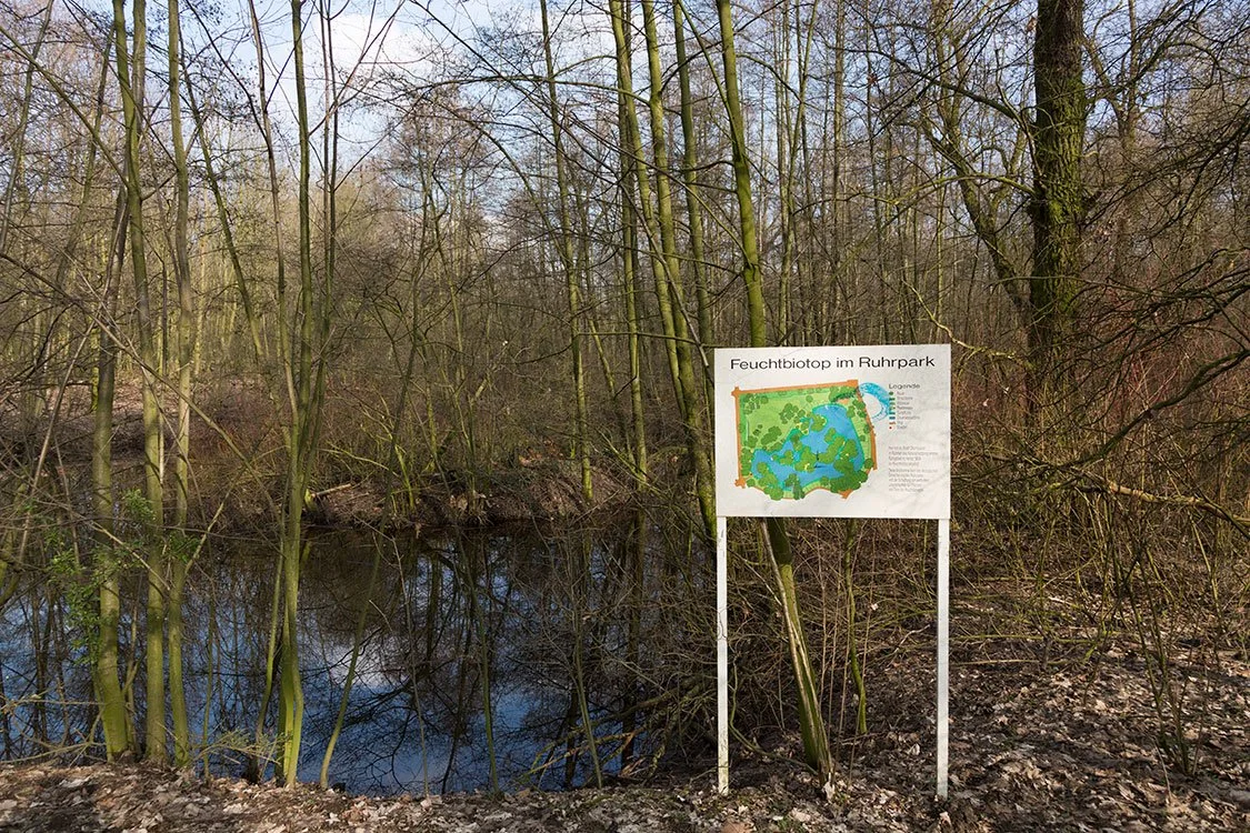 Ruhrpark, Feuchtbiotop, Oberhausen 2013