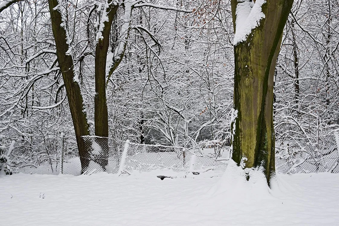Ruhrpark, Feuchtbiotop, Oberhausen 2010