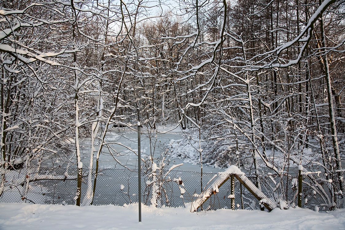 Ruhrpark, Feuchtbiotop, Oberhausen 2010
