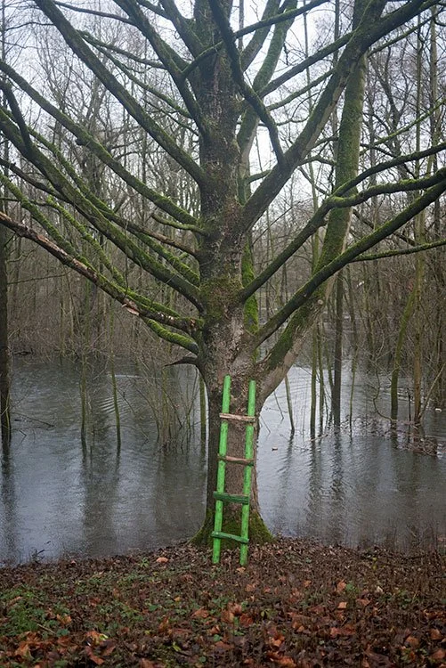 Ruhrpark, Feuchtbiotop, Oberhausen 2012