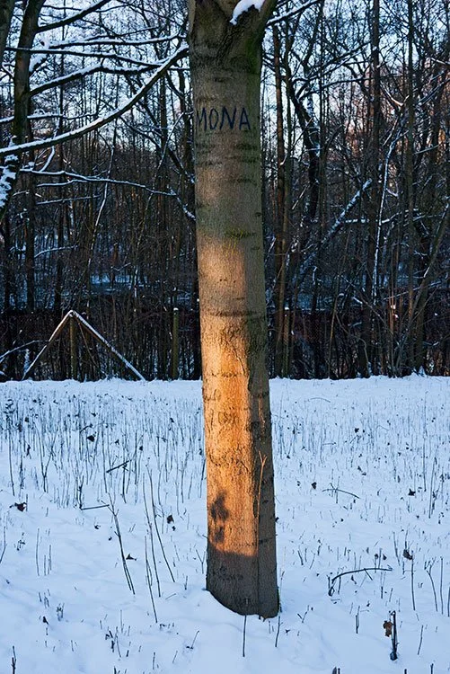 Ruhrpark, Feuchtbiotop, Oberhausen 2010