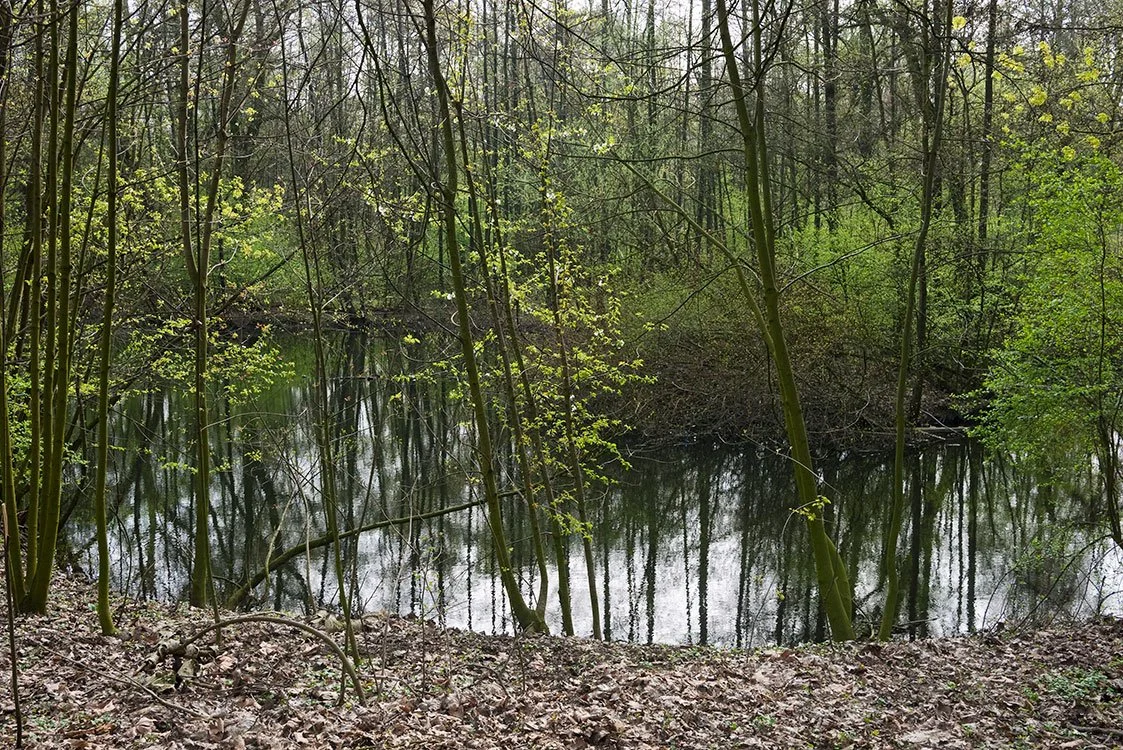 Ruhrpark, Feuchtbiotop, Oberhausen 2011