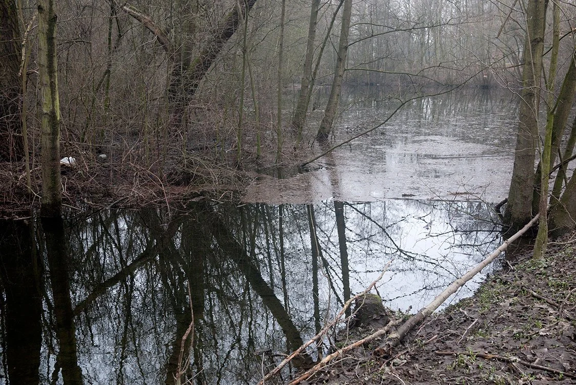 Ruhrpark, Feuchtbiotop, Oberhausen 2012