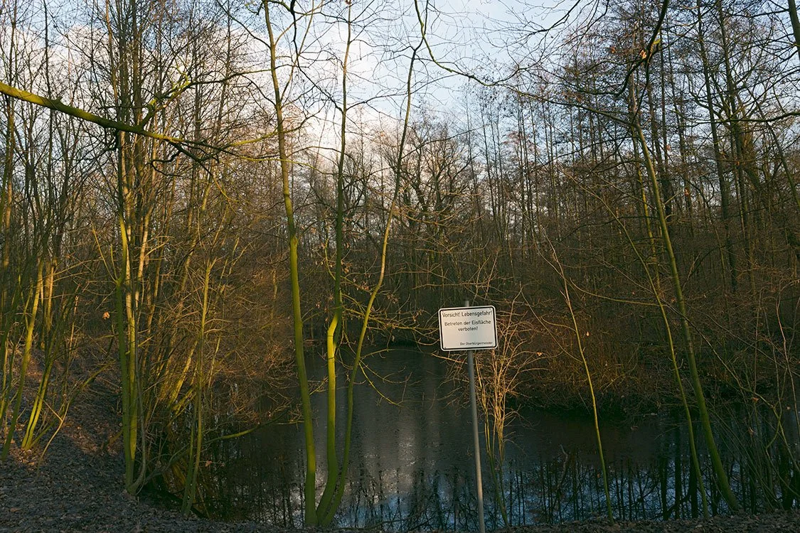 Ruhrpark, Feuchtbiotop, Oberhausen 2013
