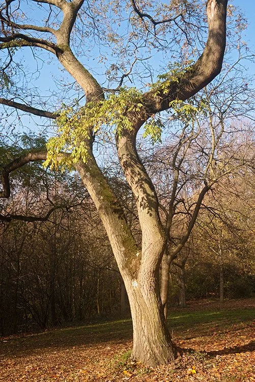 Ruhrpark, Oberhausen 2011