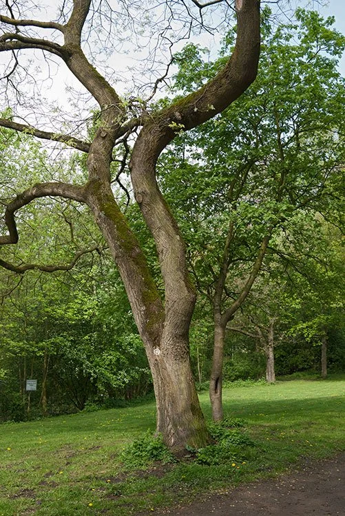 Ruhrpark, Oberhausen 2012