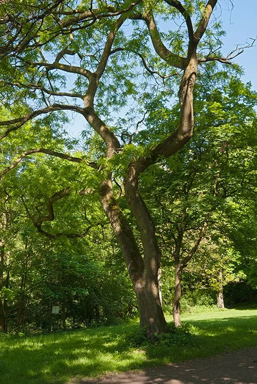 Ruhrpark, Oberhausen 2012