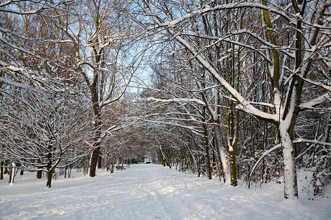 Ruhrpark, Oberhausen 2010