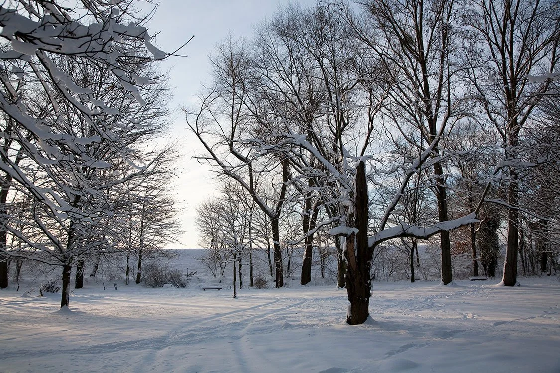 Ruhrpark, Oberhausen 2010