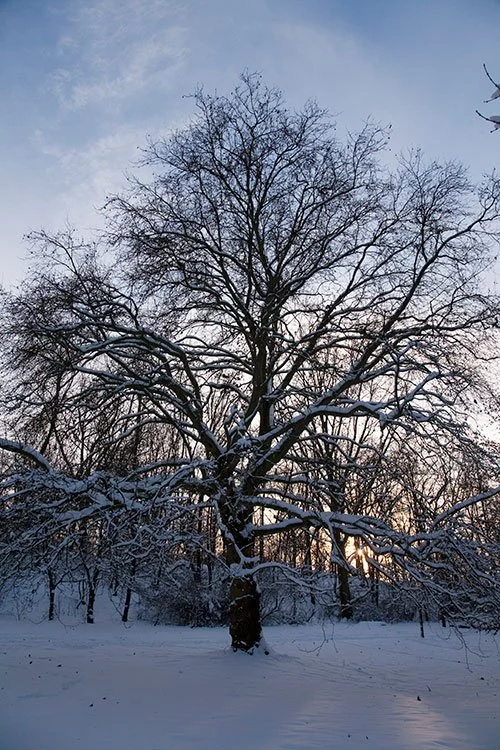 Ruhrpark, Oberhausen 2010