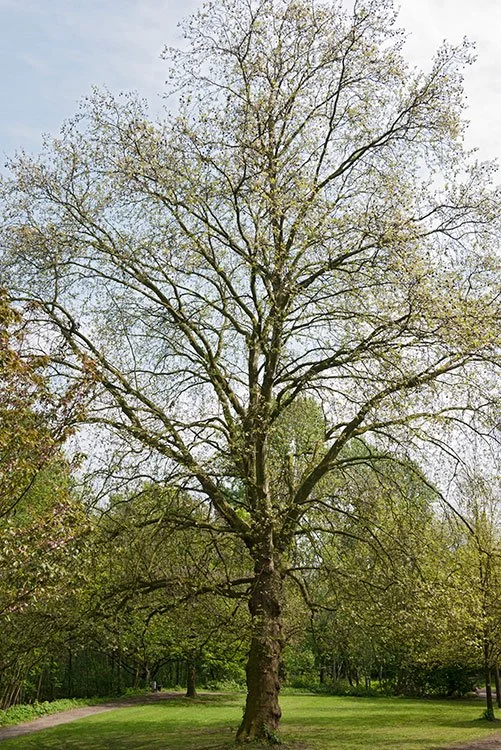 Ruhrpark, Oberhausen 2012
