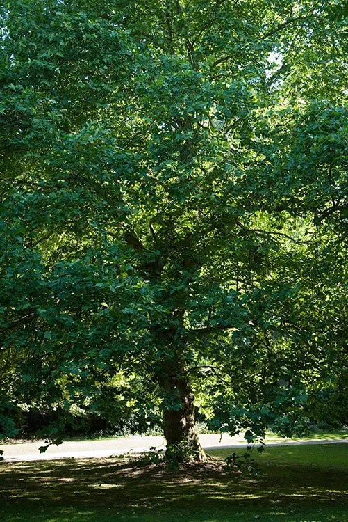 Ruhrpark, Oberhausen 2011