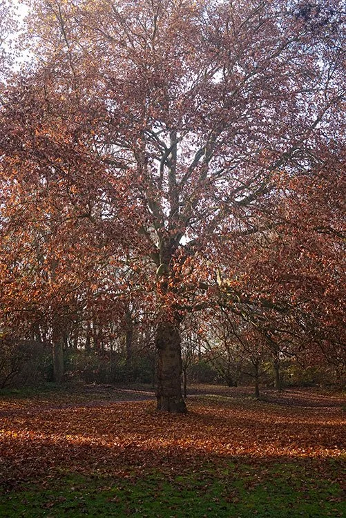 Ruhrpark, Oberhausen 2011