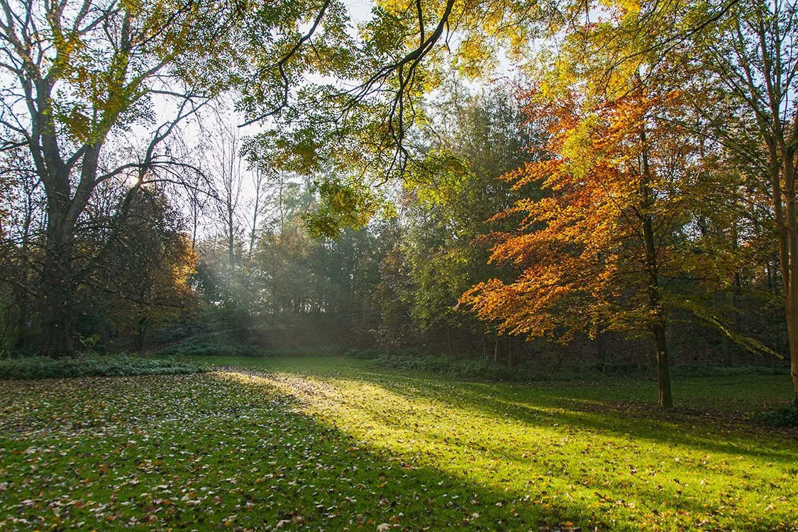Ruhrpark, Oberhausen 2011