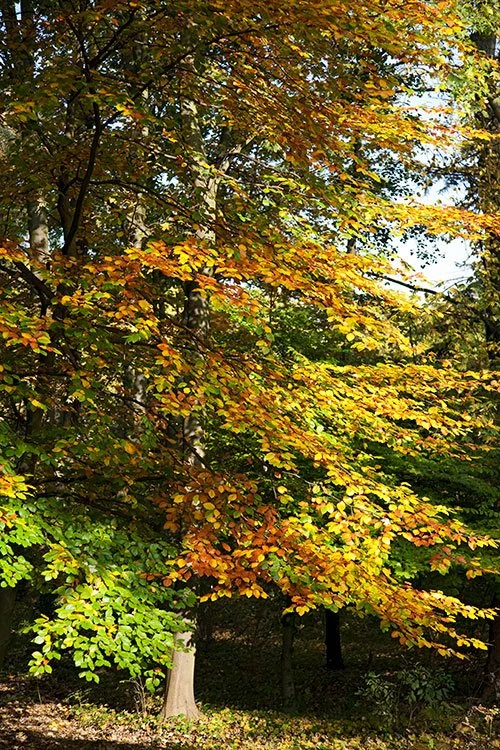 Ruhrpark, Oberhausen 2011