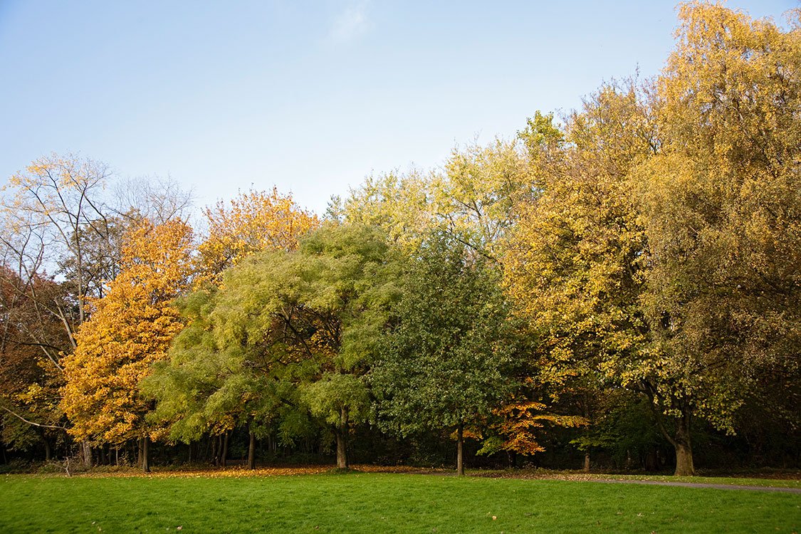 Ruhrpark, Oberhausen 2011