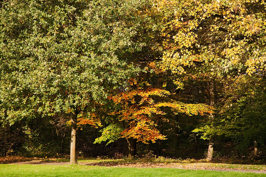 Ruhrpark, Oberhausen 2011