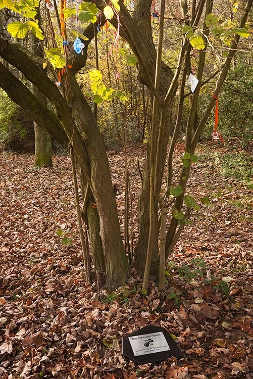 Ruhrpark, Oberhausen 2011