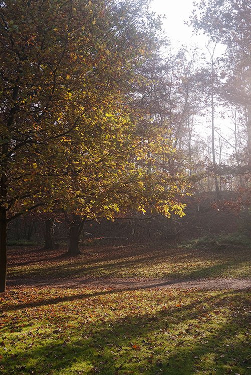 Ruhrpark, Oberhausen 2011