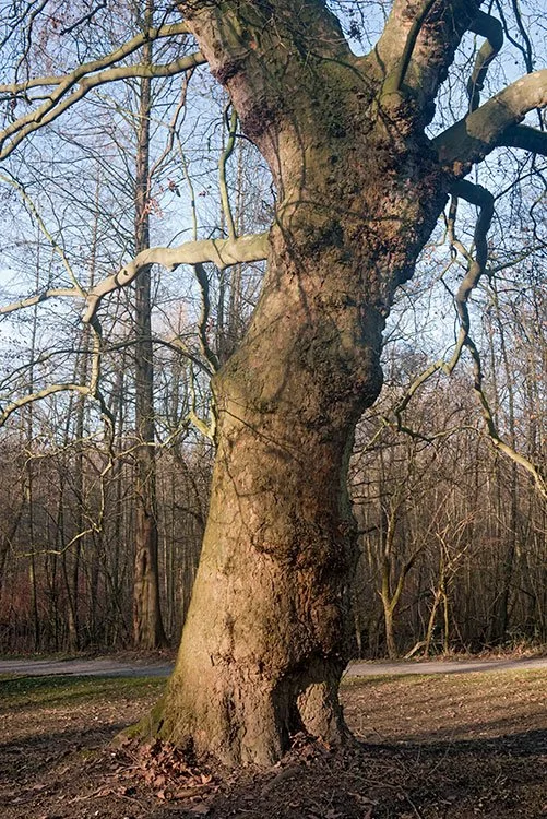 Ruhrpark, Oberhausen 2012
