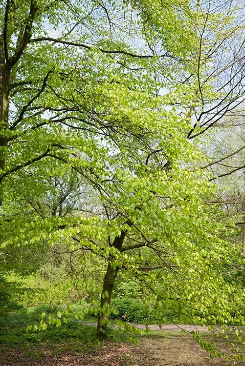 Ruhrpark, Oberhausen 2012