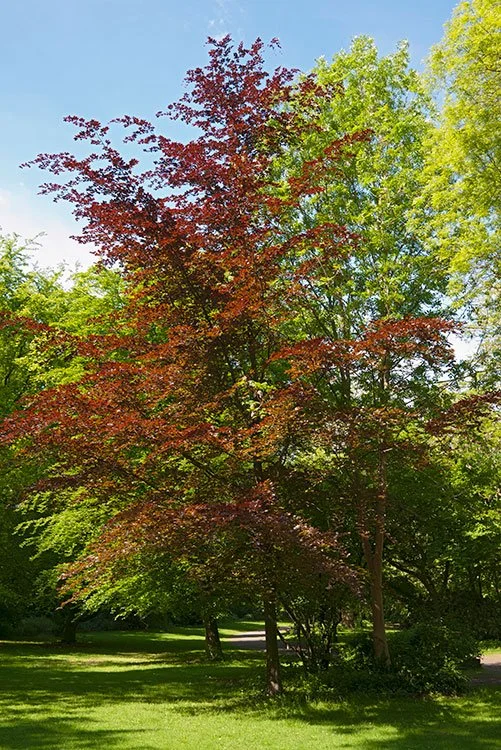 Ruhrpark, Oberhausen 2012