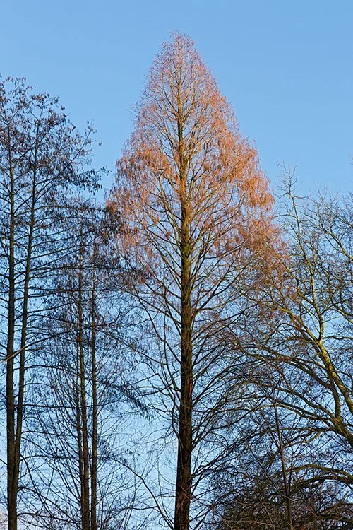 Ruhrpark, Oberhausen 2013