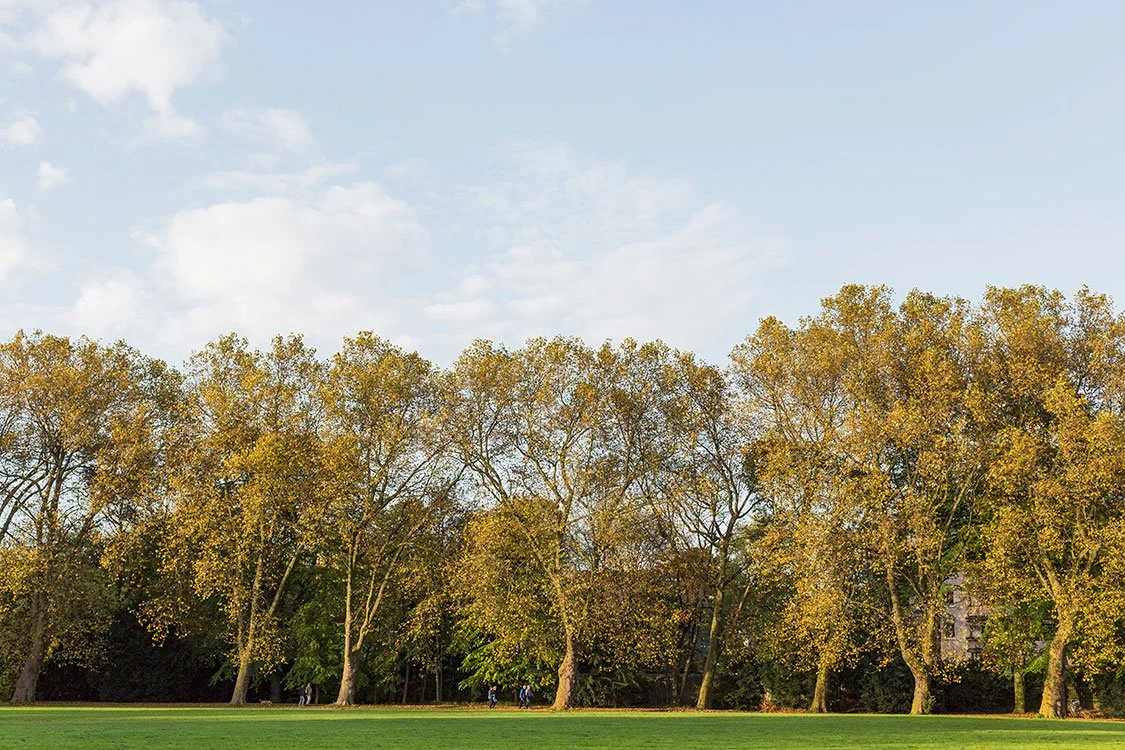 Ruhrpark, Oberhausen 2014