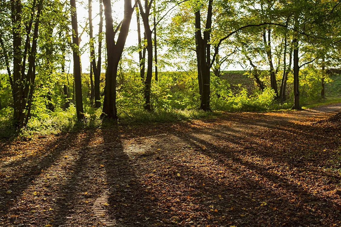 Ruhrpark, Oberhausen 2014