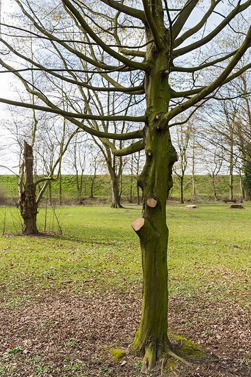 Ruhrpark, Oberhausen 2016
