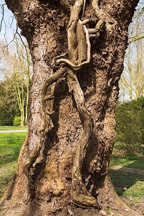 Ruhrpark, Oberhausen 2016
