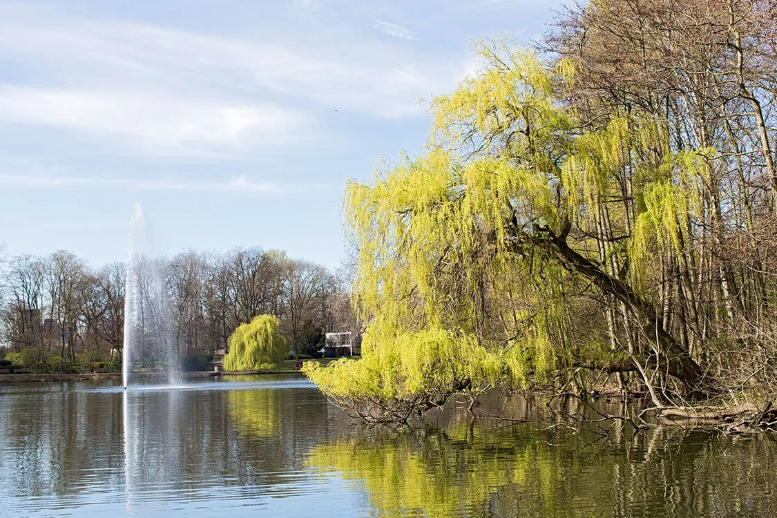 Kaisergarten, Oberhausen 2014
