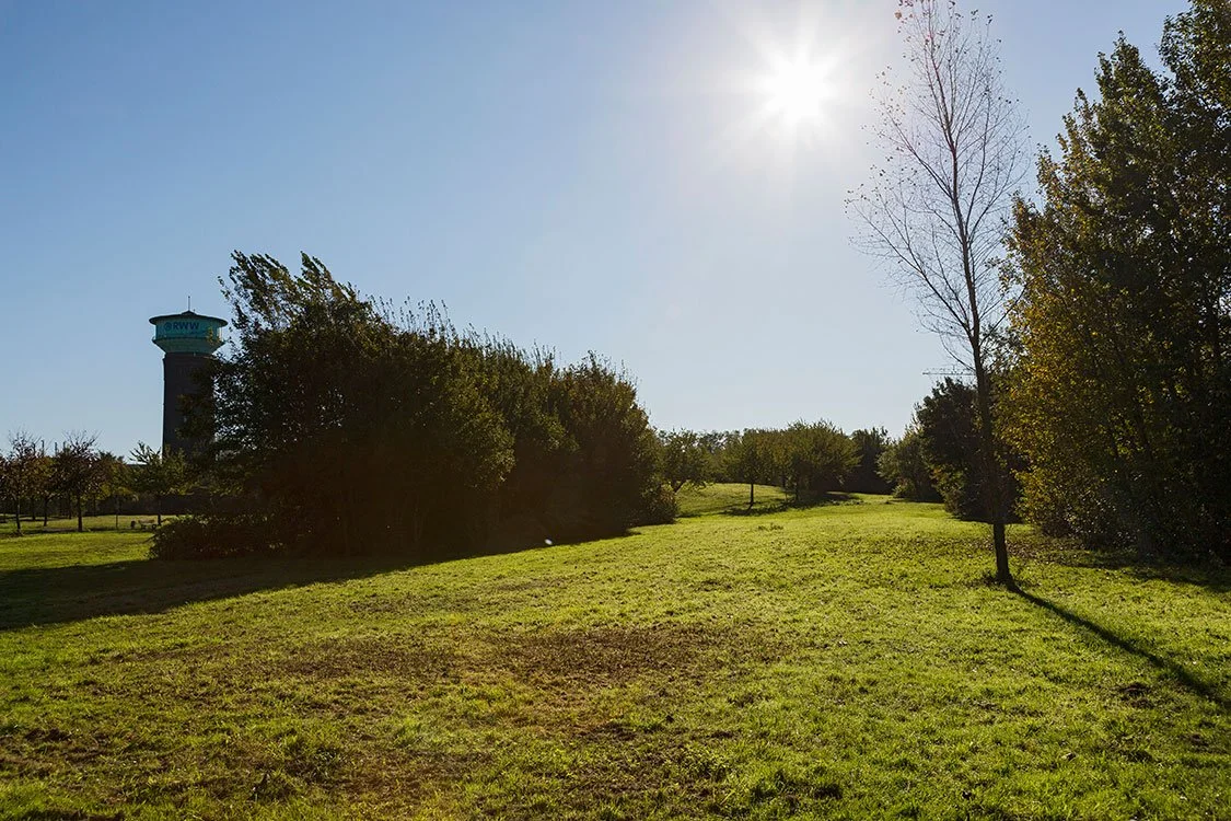 Parklandschaft, Oberhausen 2014