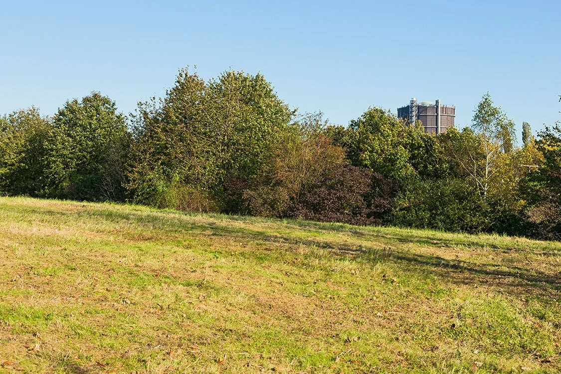 Parklandschaft, Oberhausen 2014
