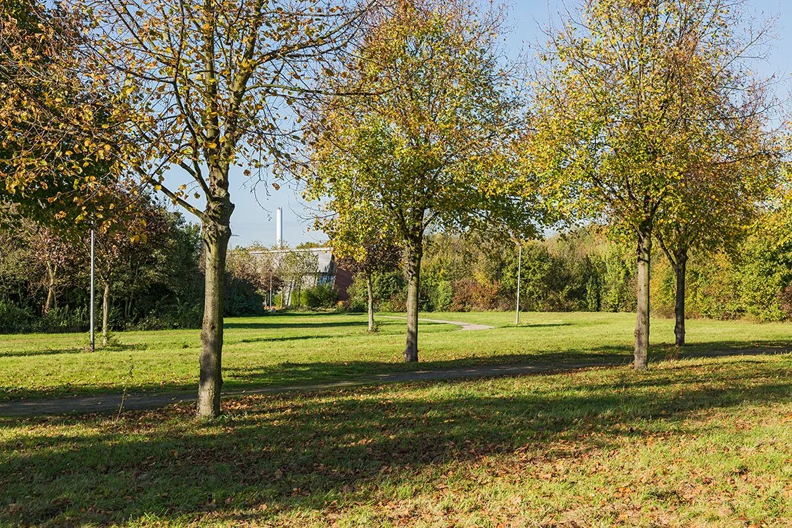 Parklandschaft, Oberhausen 2014