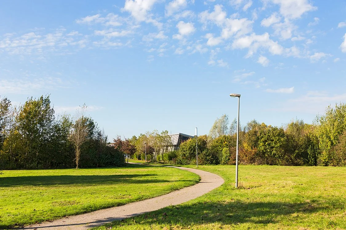 Parklandschaft, Oberhausen 2014